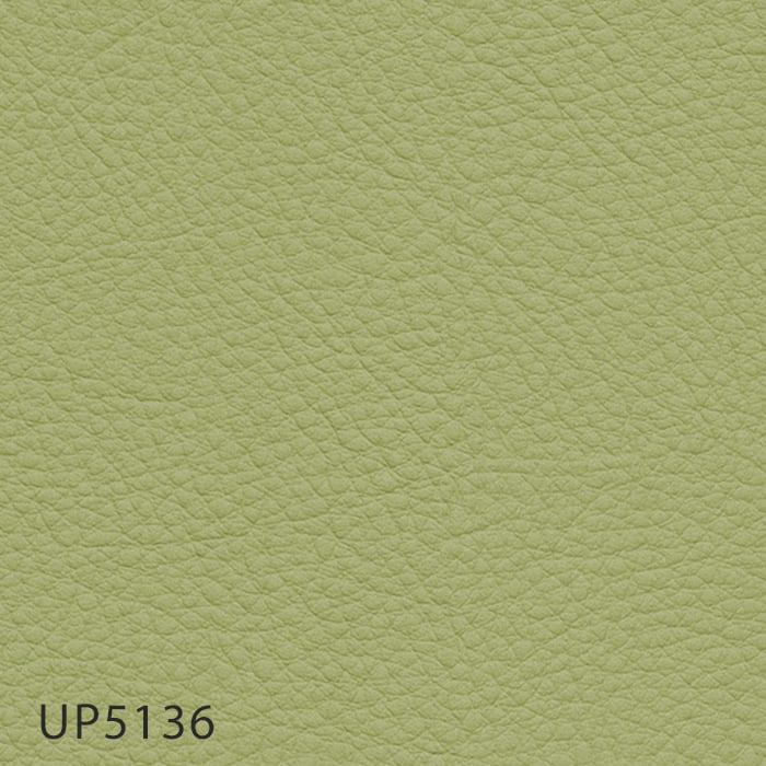 color chip