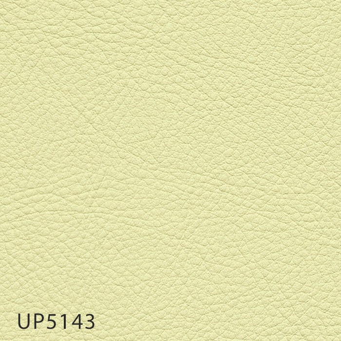 color chip