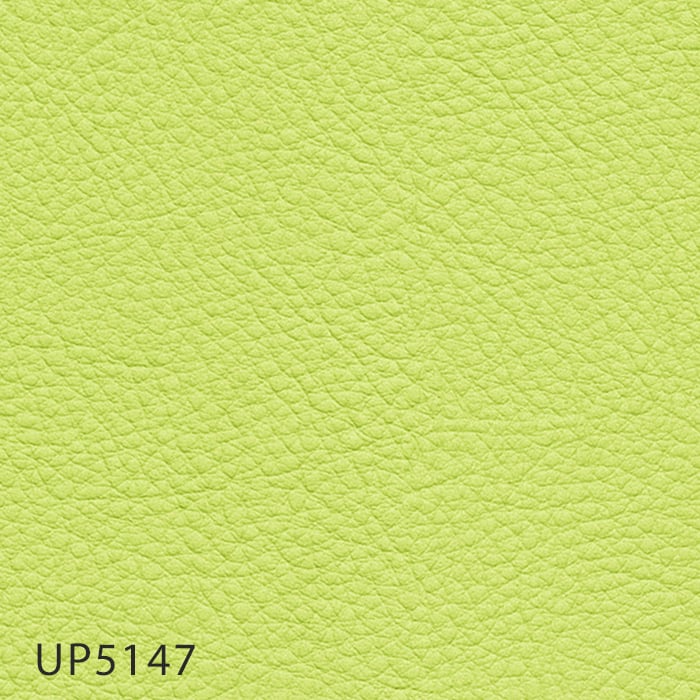 color chip