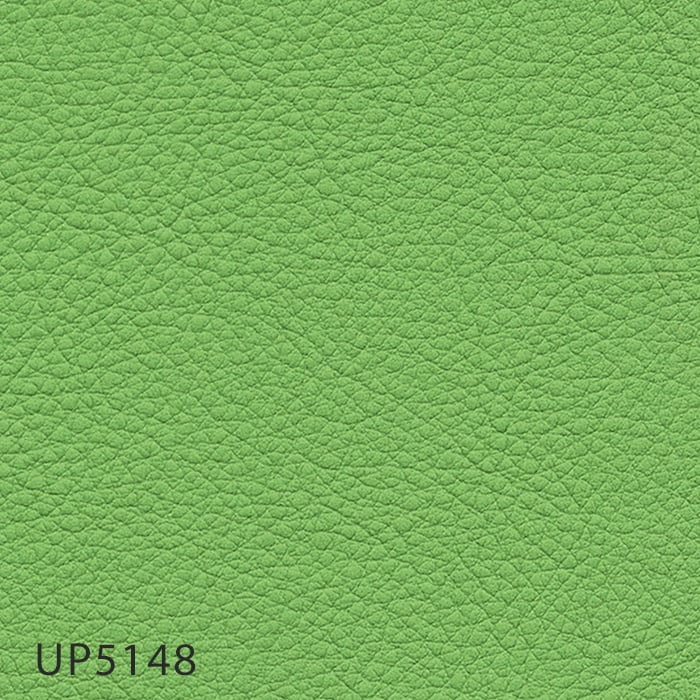 color chip