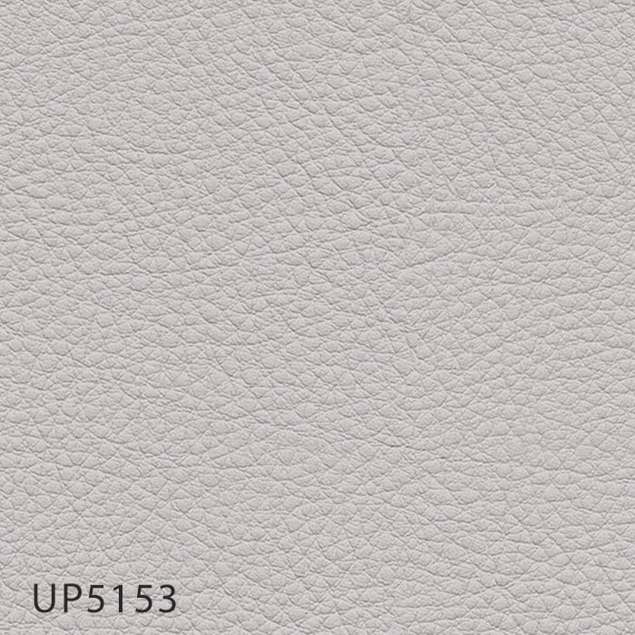 color chip