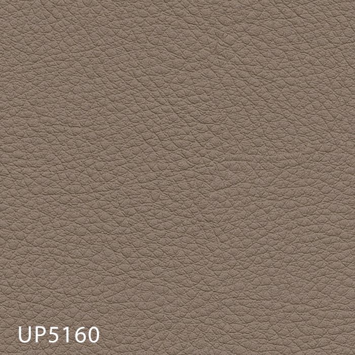 color chip