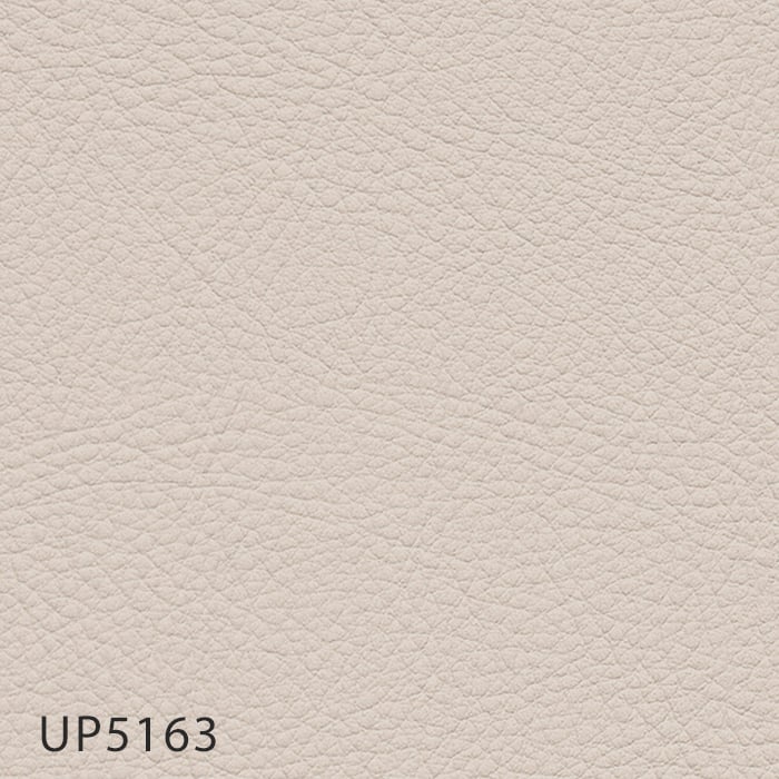 color chip