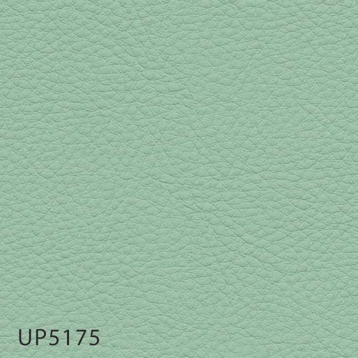 color chip