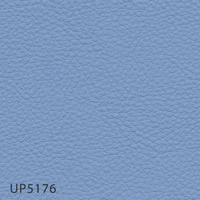 color chip