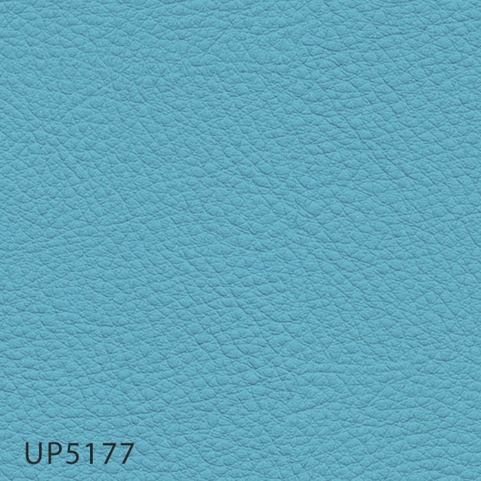color chip