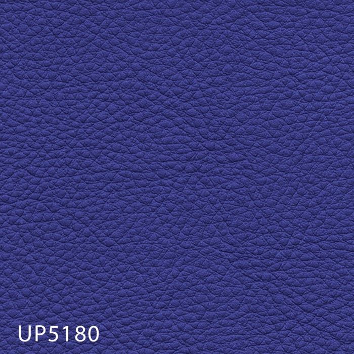 color chip