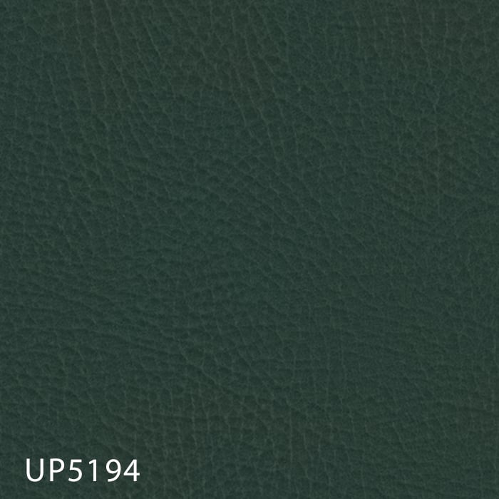 color chip
