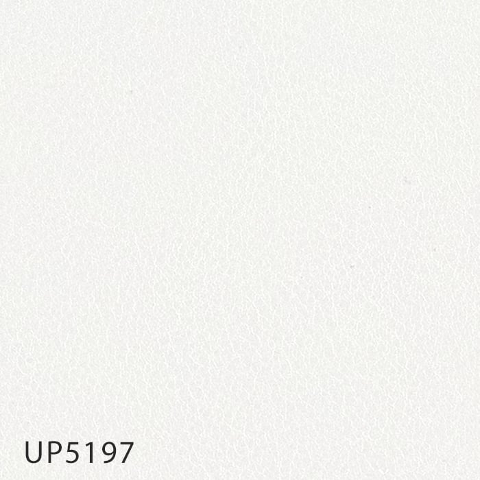 color chip