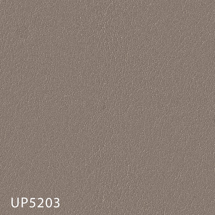 color chip