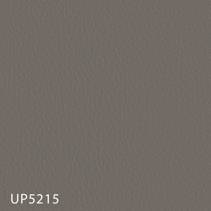 color chip