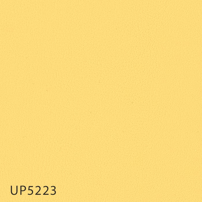 color chip