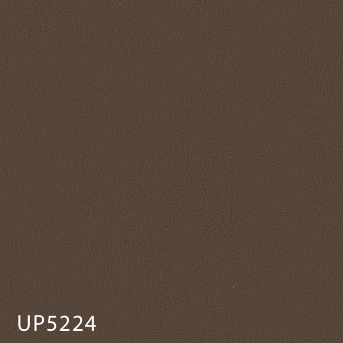 color chip