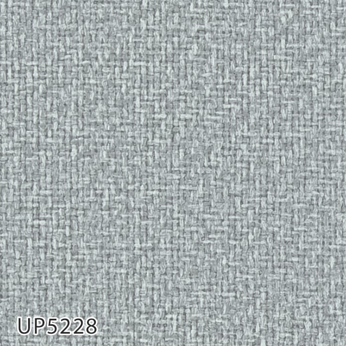 UP5228