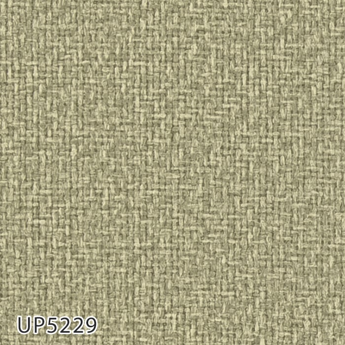 UP5229