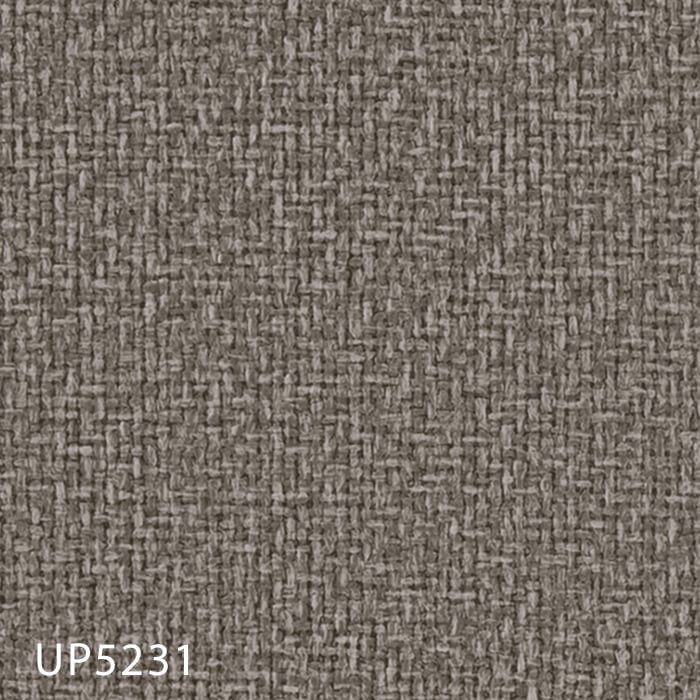UP5231