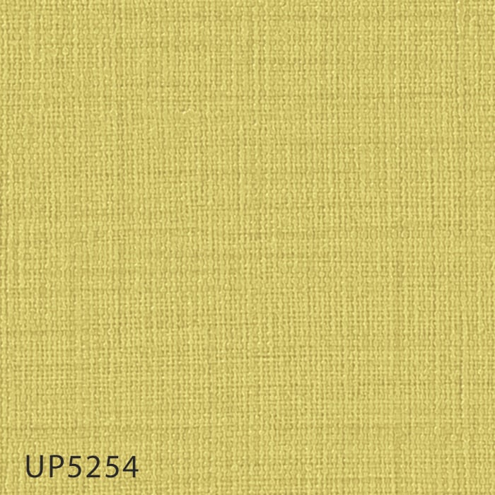 color chip