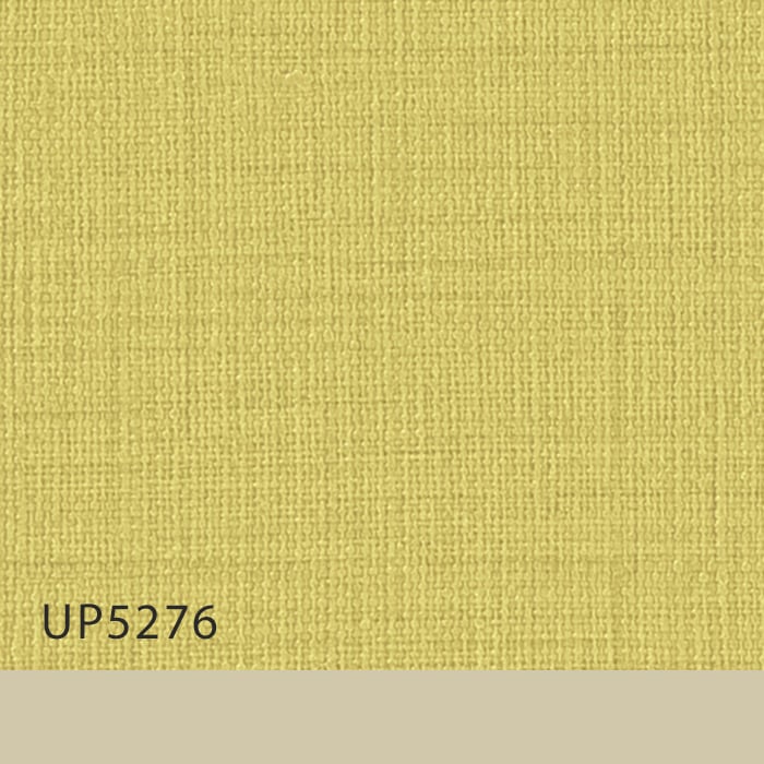 color chip
