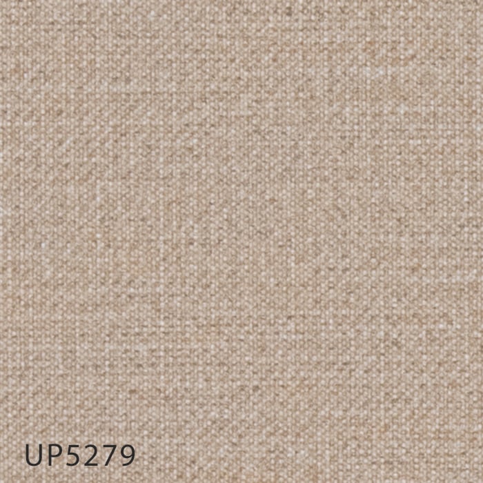 color chip