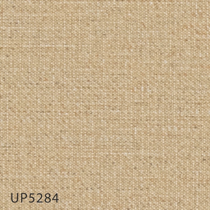 color chip