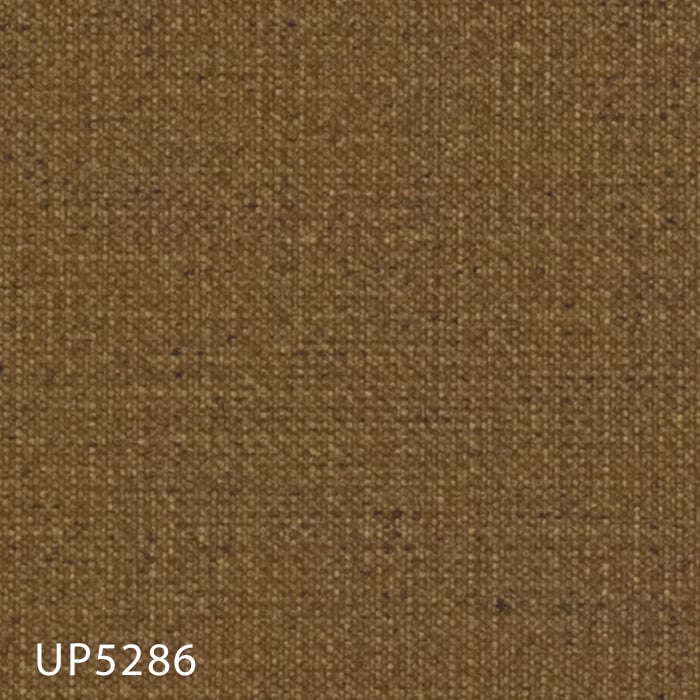 color chip