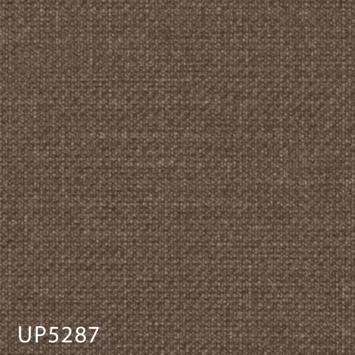 color chip