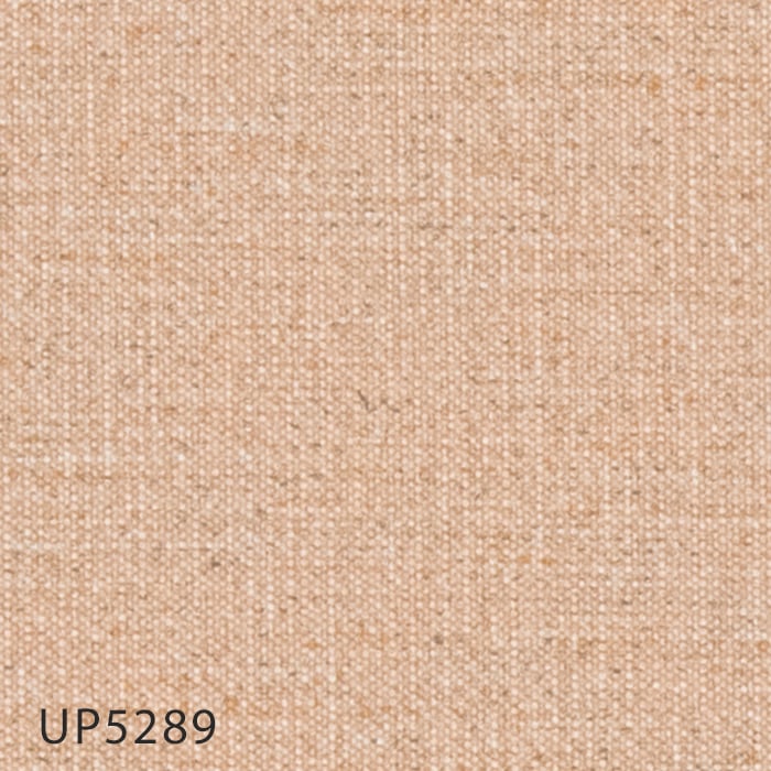 color chip