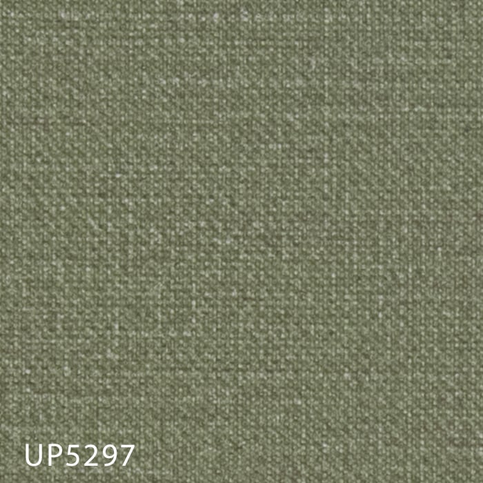 color chip