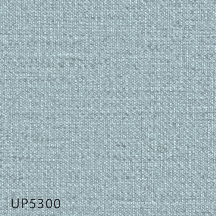 color chip