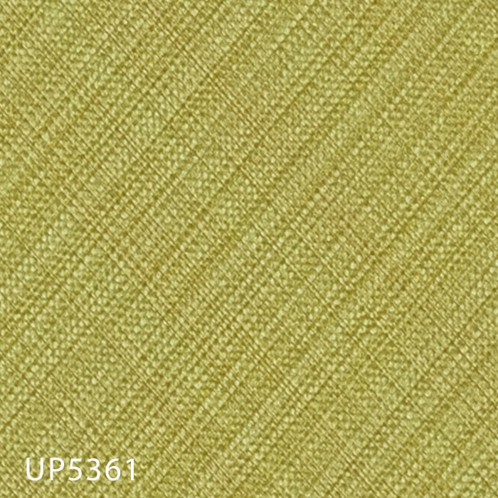 color chip