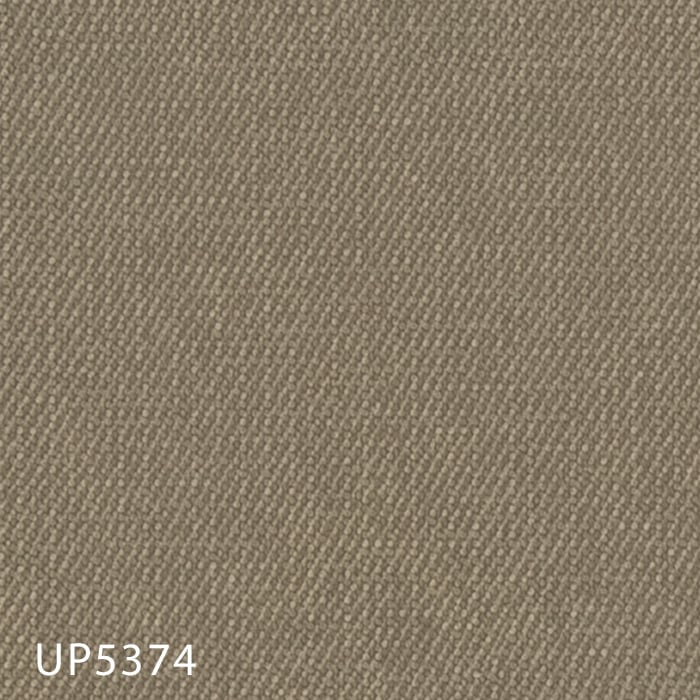 color chip