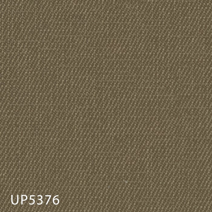 color chip