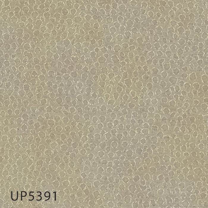 UP5391