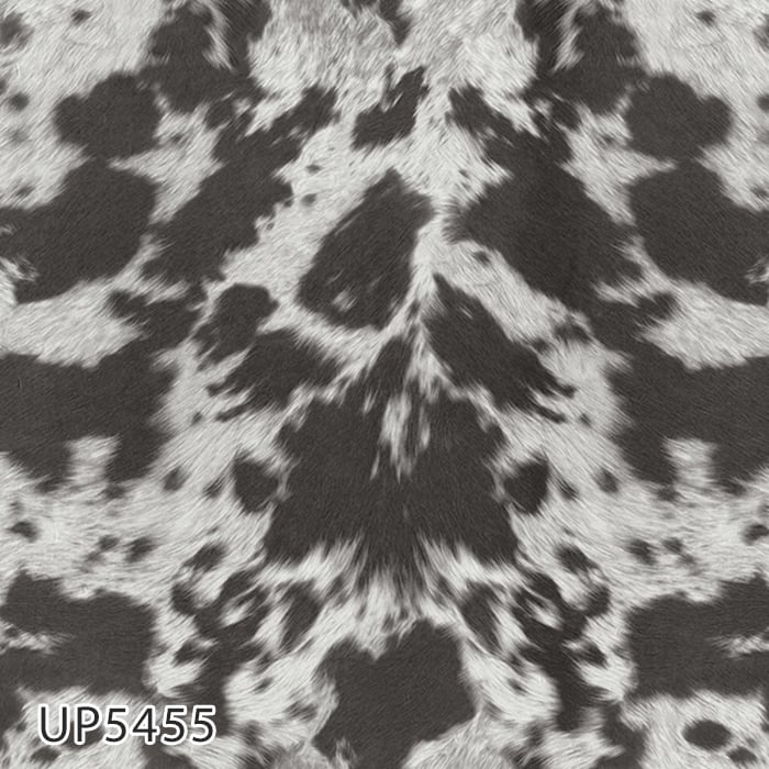 color chip