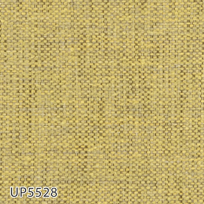 UP5528