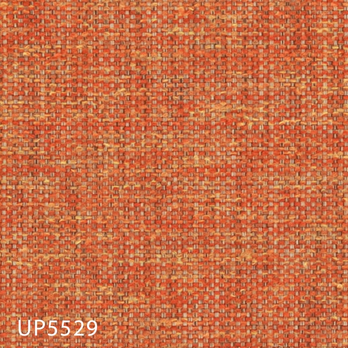 UP5529