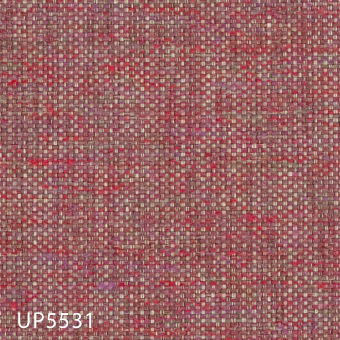 UP5531