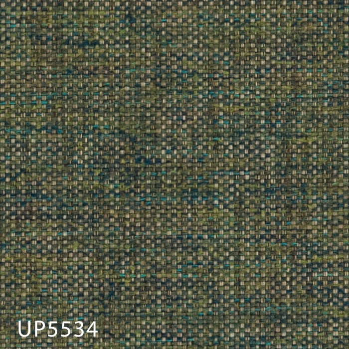 UP5534