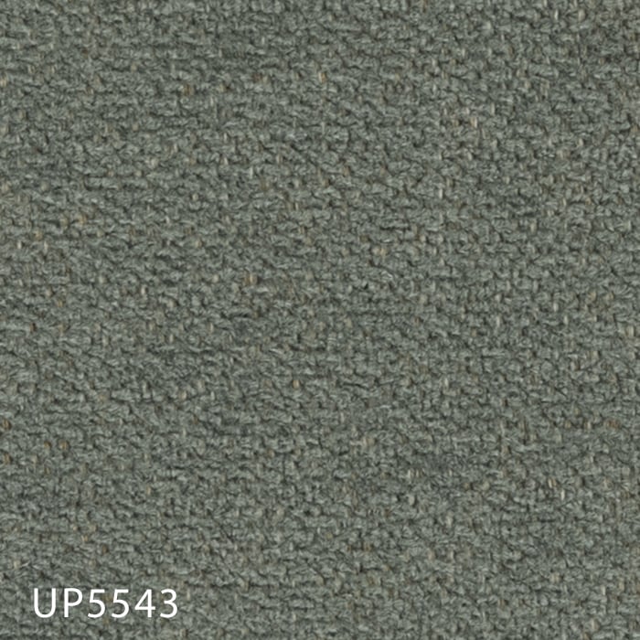 color chip