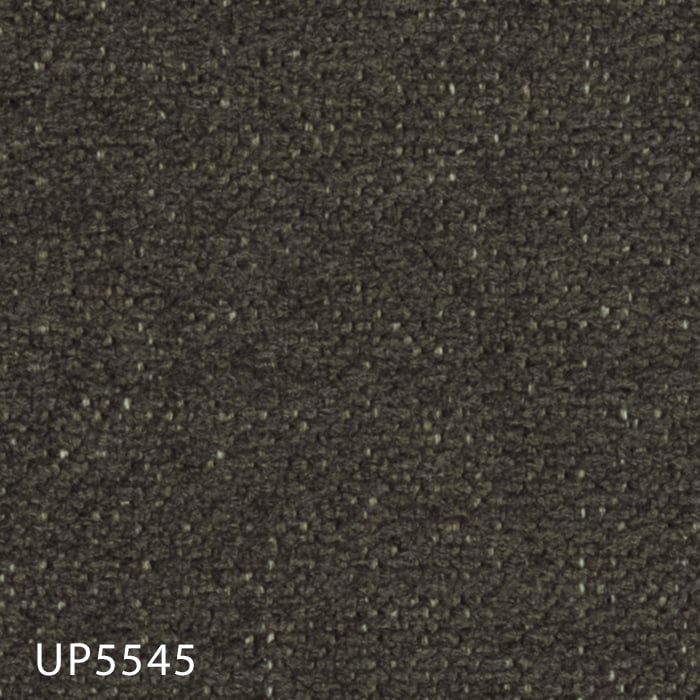 color chip
