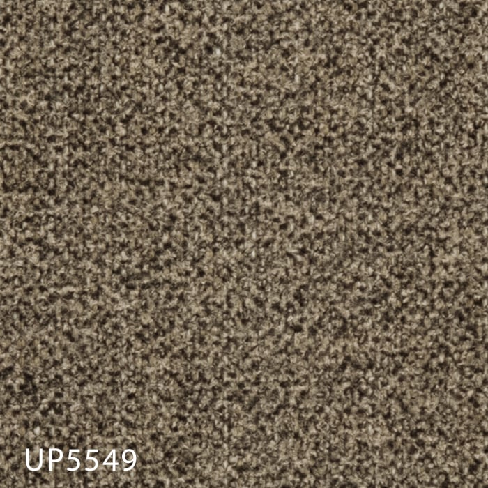 UP5549