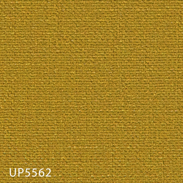 color chip