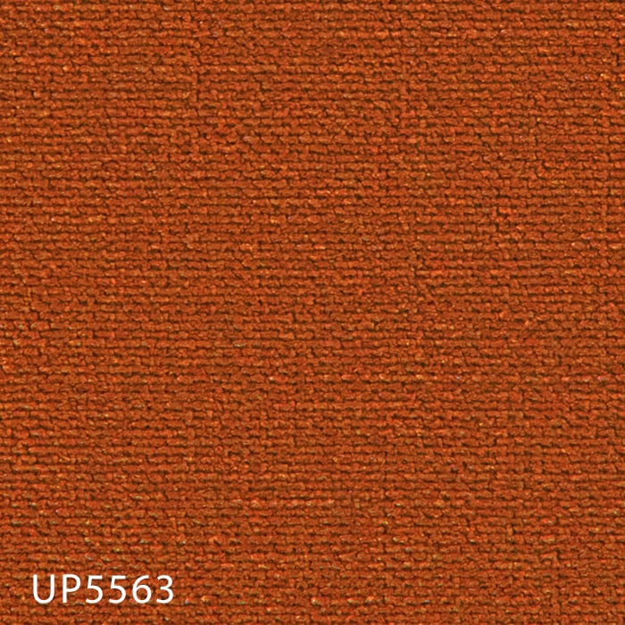 color chip