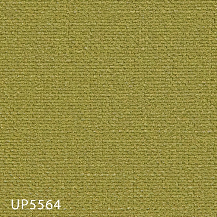 color chip