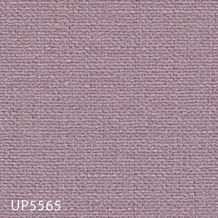 color chip