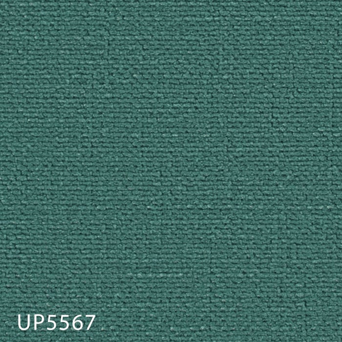 color chip
