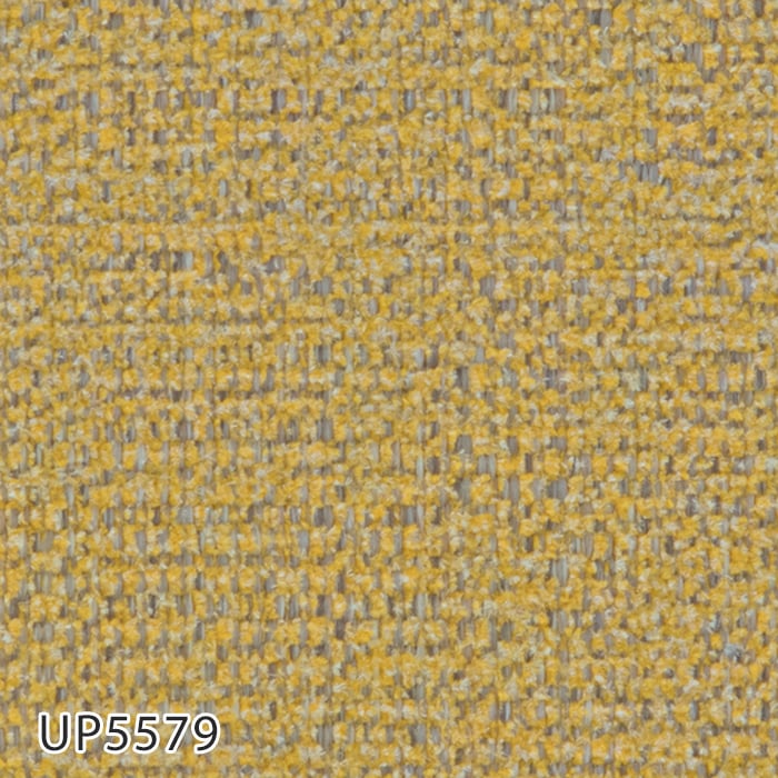 color chip