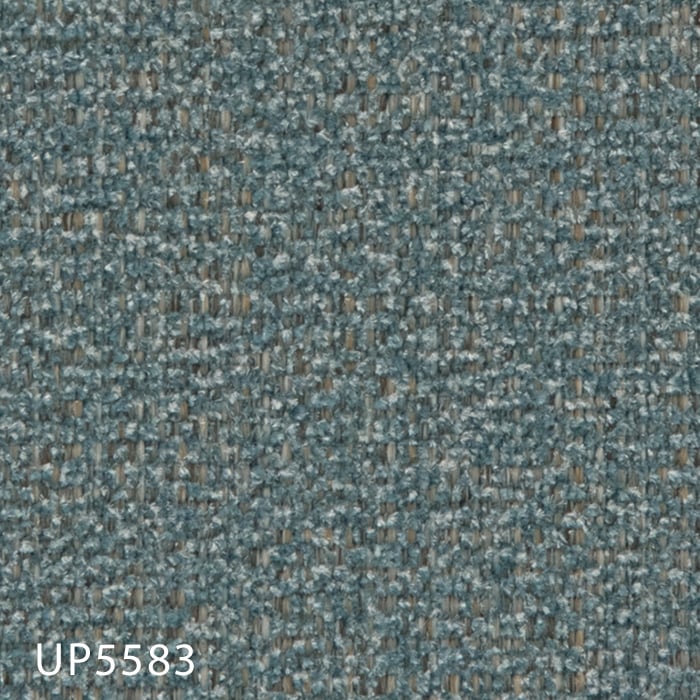 color chip
