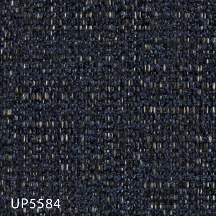 color chip
