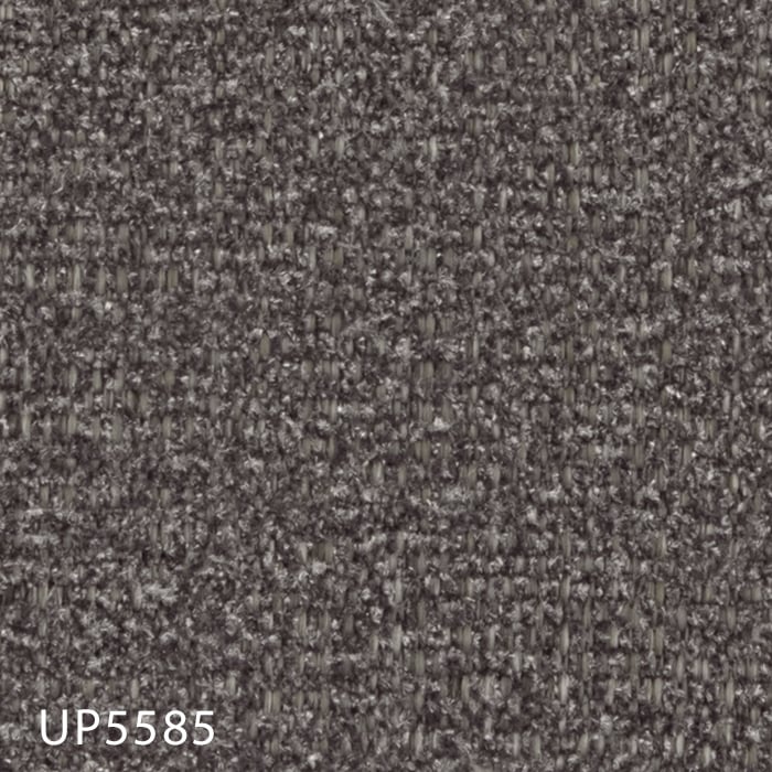 color chip